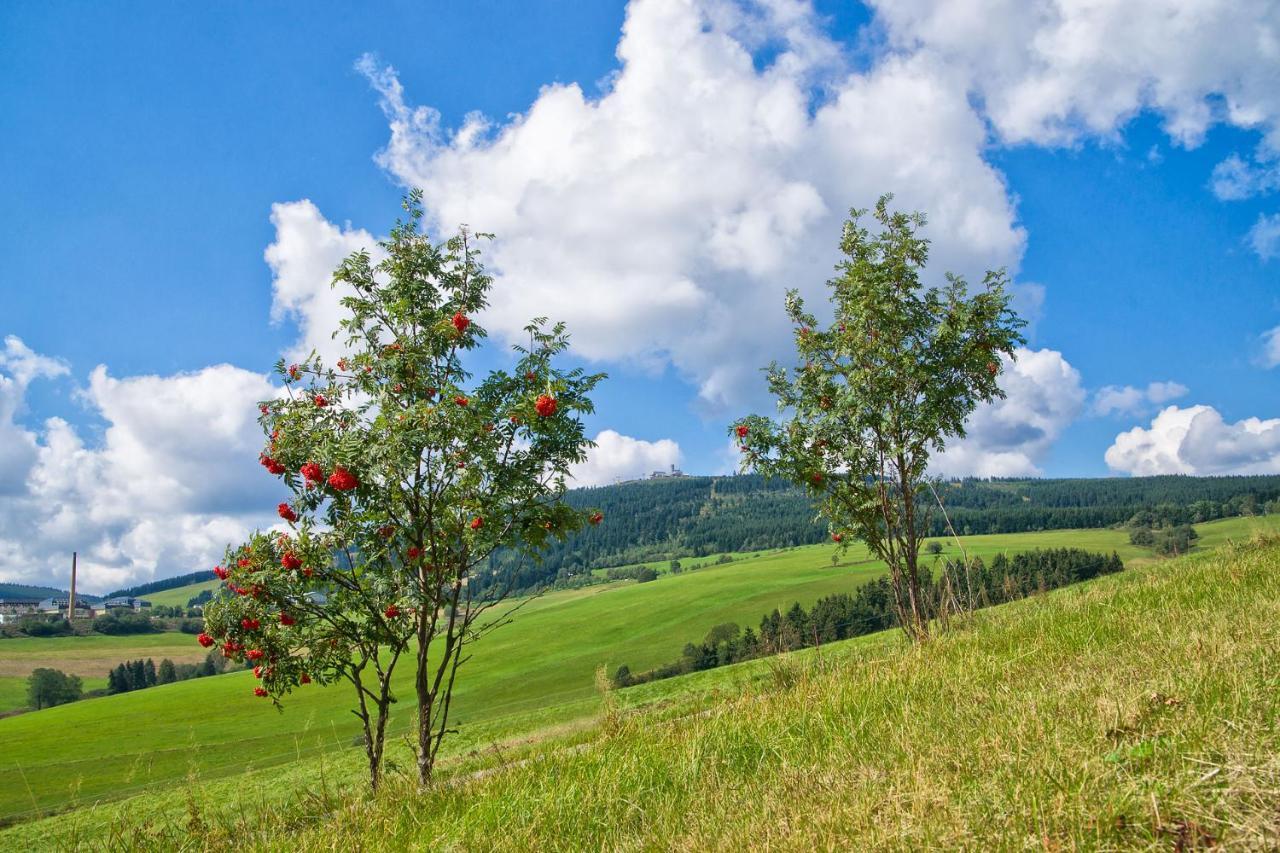 Am Roten Hammer I Gasthof Und Pension Oberwiesenthal Bagian luar foto